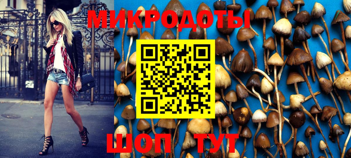 Галлюциногенные грибы Psilocybe Новый Уренгой