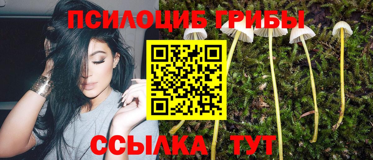 МЕТ  Каннабис  ЭКСТАЗИ  Альфа ПВП СК   Мефедрон кристаллы  Новый Уренгой  Как найти наркотики?  COCAIN  ГАШИШ  Марихуана  Вход с VPN 