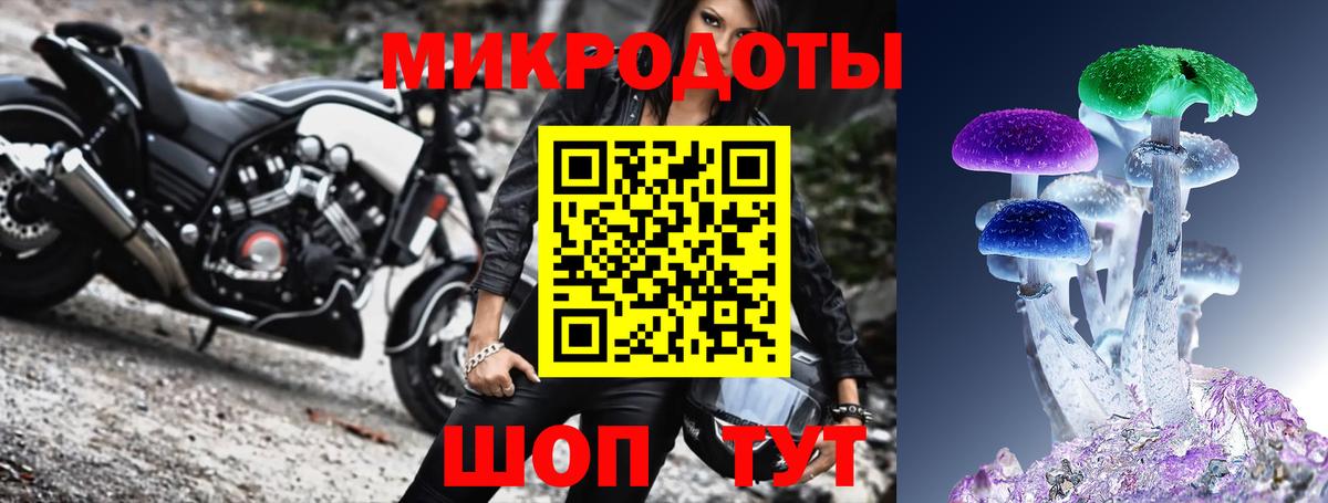 где найти   Галлюциногенные грибы Cubensis  Вход с VPN  Новый Уренгой 